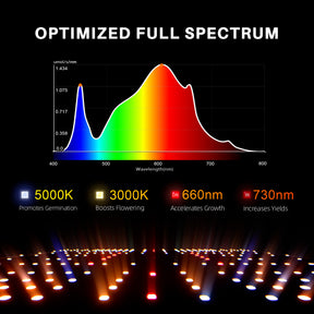 Spider Farmer SF1000D LED 100 Watt
