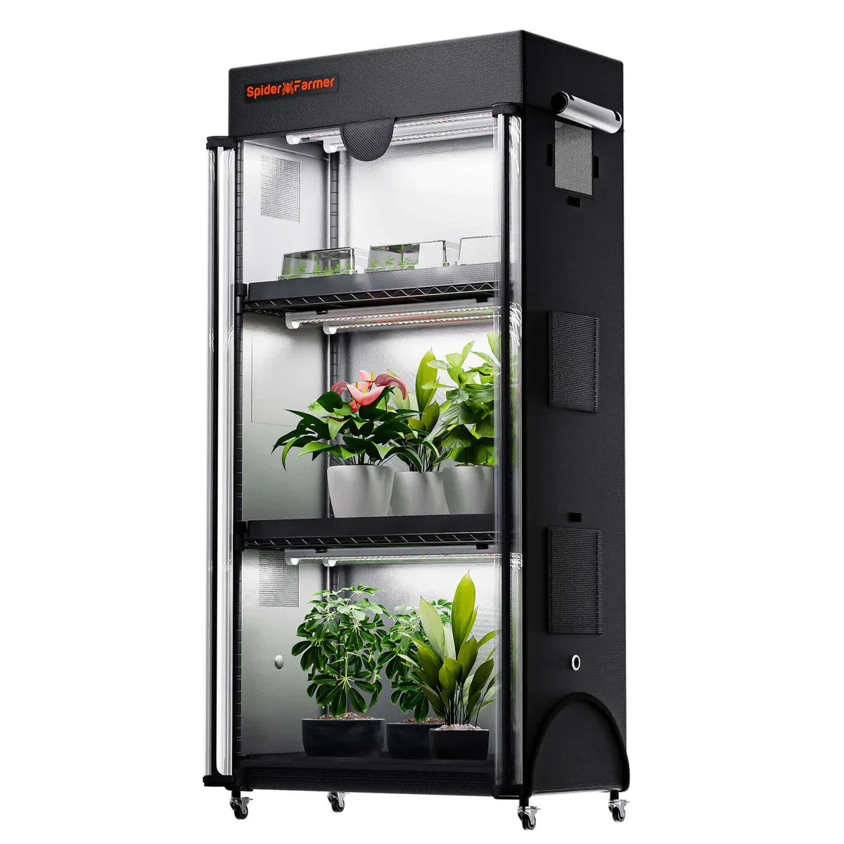Spider Farmer Anzucht/Stecklinge Komplettset (70x35x150 cm) 108 Watt
