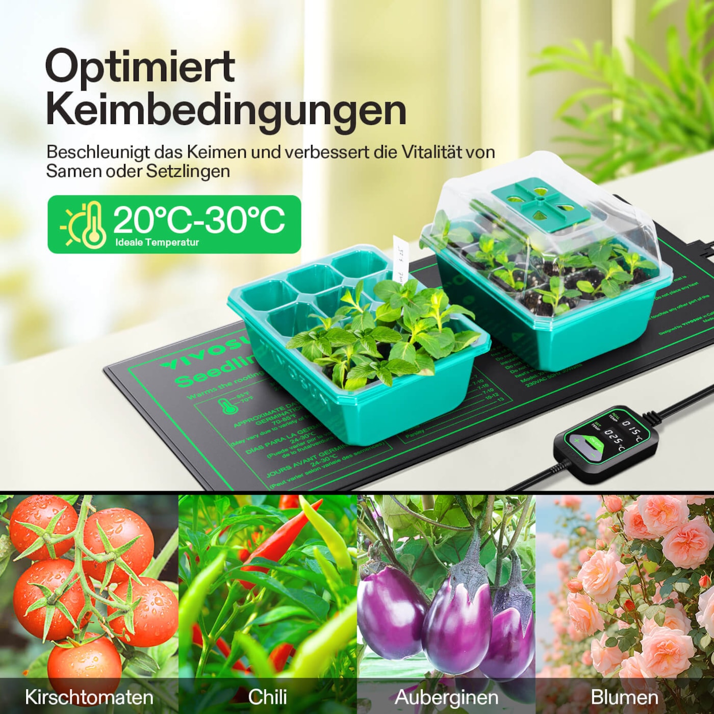 Anzucht-Heizmatte mit digitalem Dual-Display-Thermostat, 25x53 cm 3er Pack