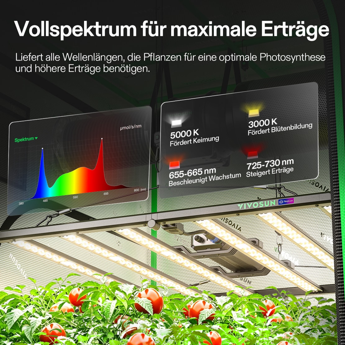 VIVOSUN Growbox Komplettset 120x120x200 cm 500W LED