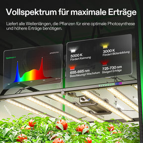 VIVOSUN Growbox Komplettset 120x120x200 cm 500W LED