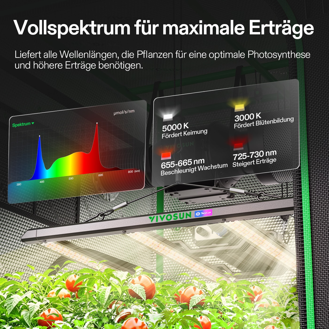 VIVOSUN Growbox Komplettset 100x100x180 cm 320W LED