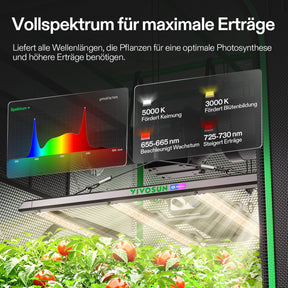VIVOSUN Growbox Komplettset 100x100x180 cm 320W LED