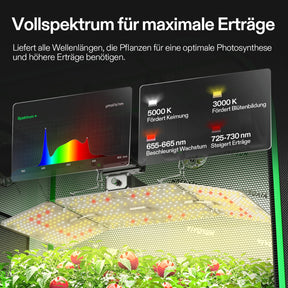 VIVOSUN Growbox Komplettset 120x60x180 cm 200W LED