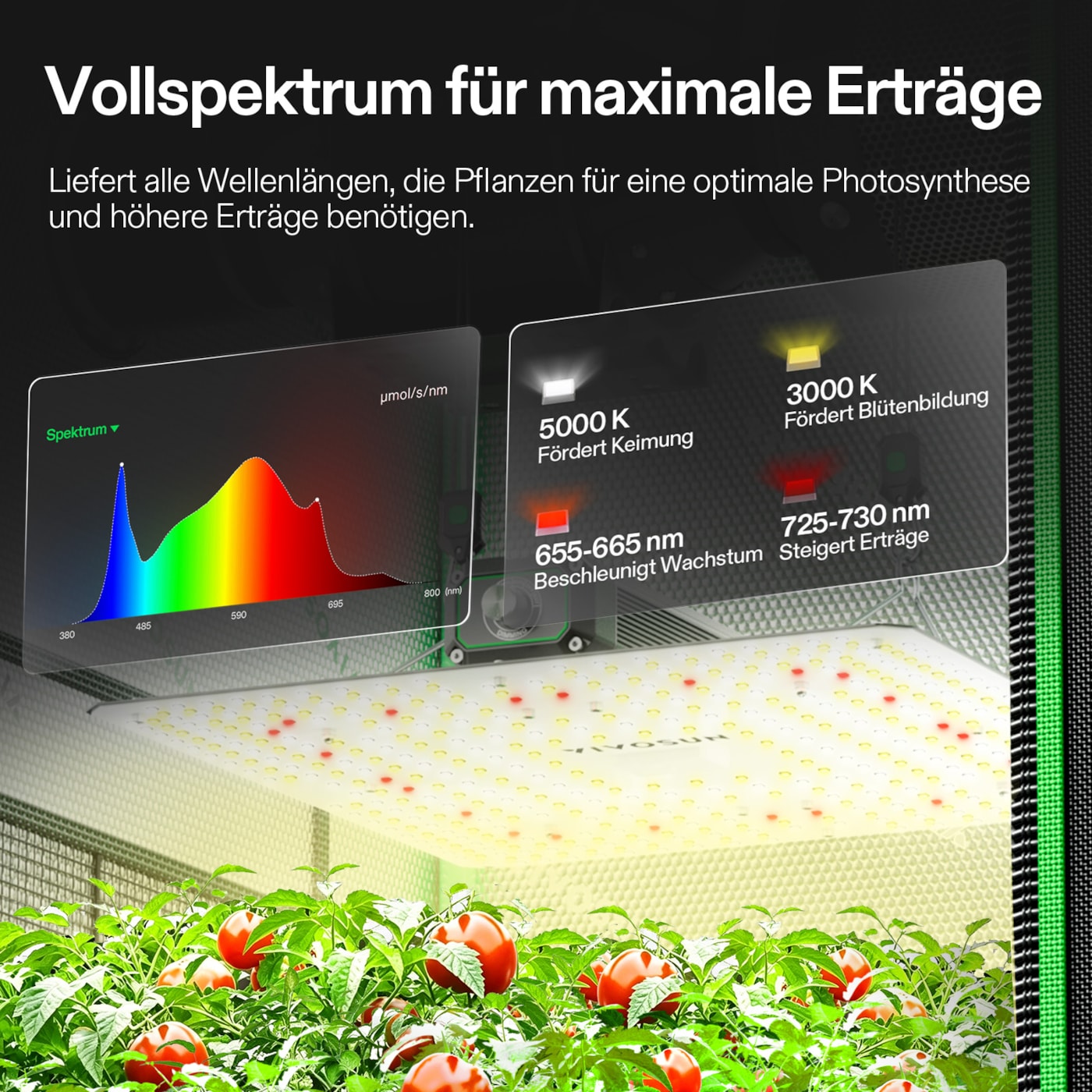 VIVOSUN Growbox Komplettset 70x70x160 cm 150W LED