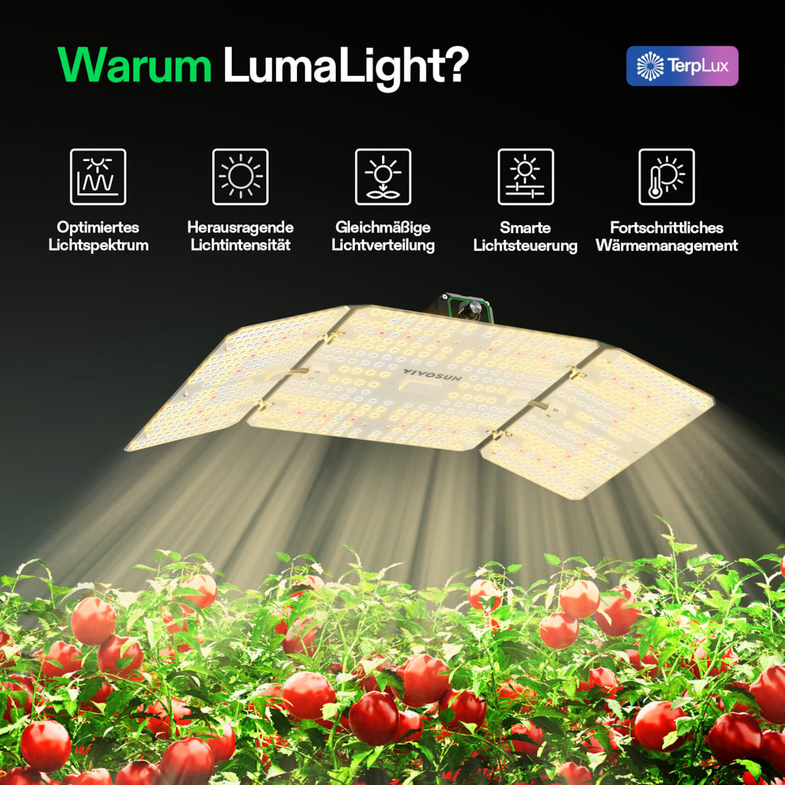 VIVOSUN LumaLight 200W Vollspektrum LED Pflanzenlampe