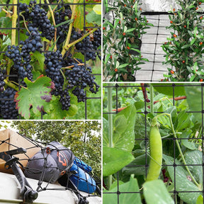 vivosun trelli netz 120x120 anwendungsbeispiele